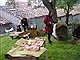 Festival of Statutes